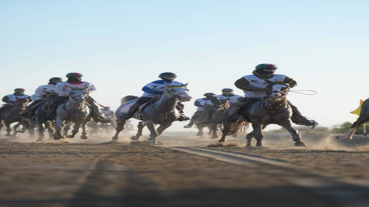 انطلاق كأس اليمامة للأفراس ضمن فعاليات النسخة الثامنة عشرة لمهرجان ولي عهد دبي